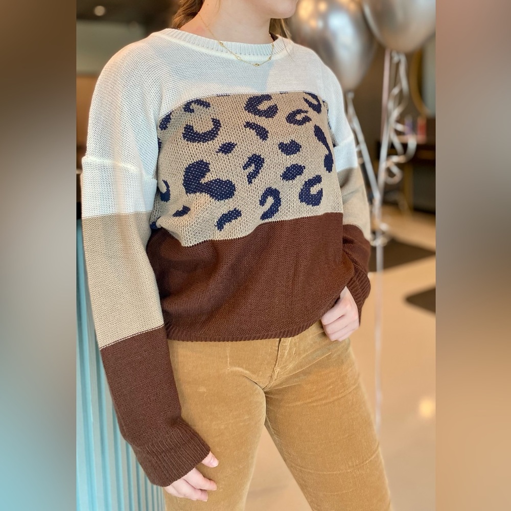 Animal Print Color Block Long Sleeve Knit Sweater